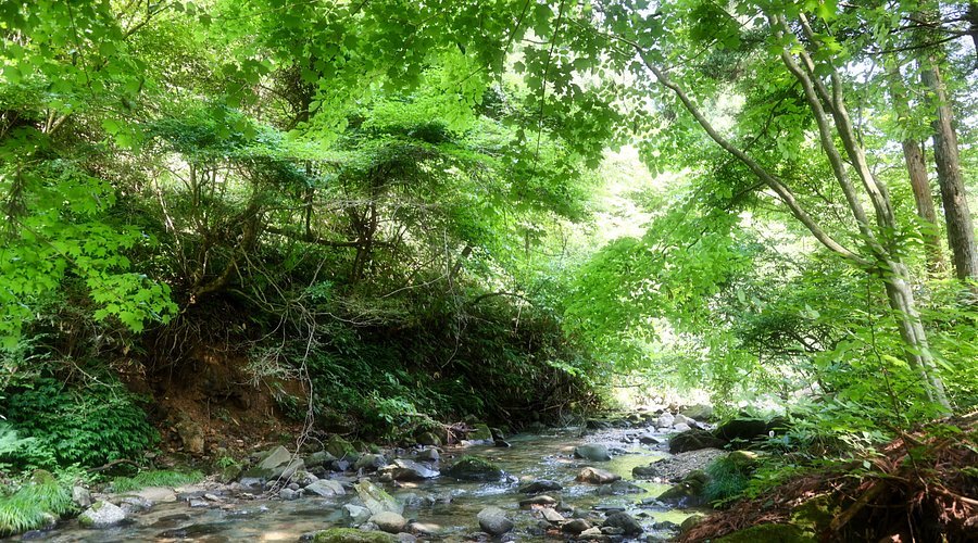 🏞️ 말꼬리 폭포(마오노타키) 이미지 5